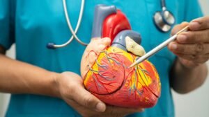 Heart Disease and Obesity Study